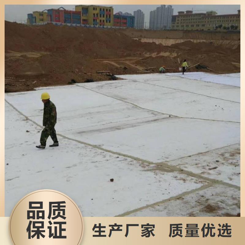 【防水毯】短丝土工布专业按需定制现货充足量大优惠