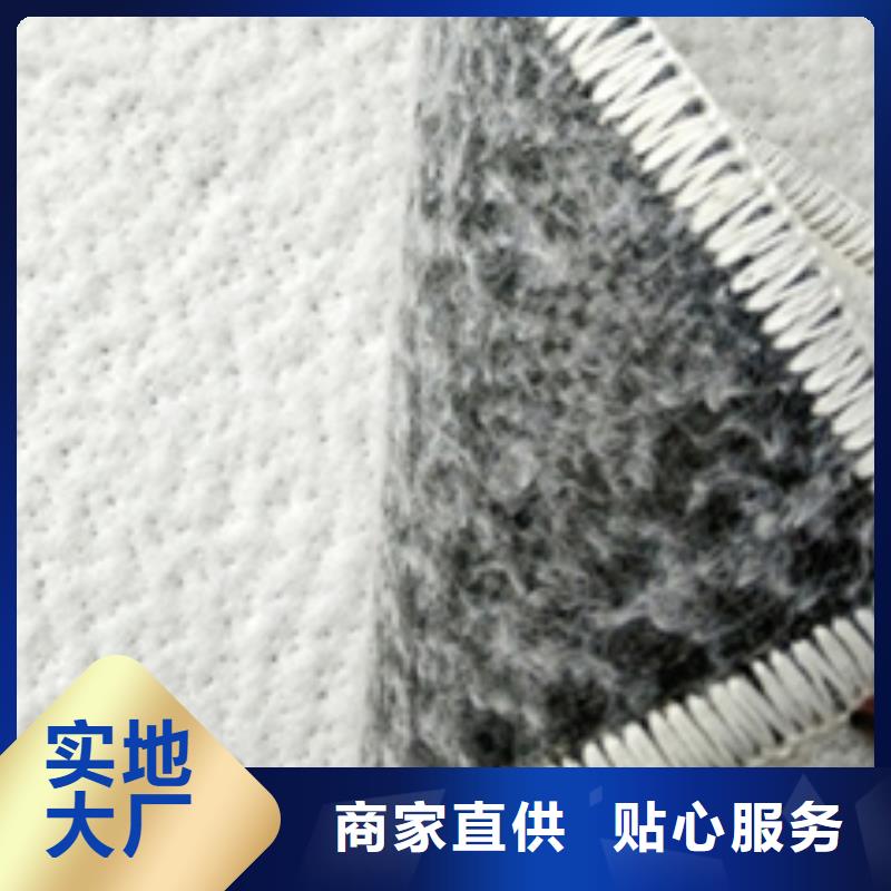 【防水毯】聚丙烯双拉土工格栅可零售可批发厂家货源