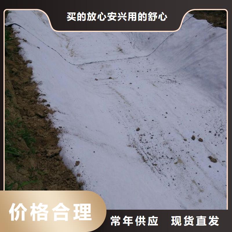 防水毯双向塑料土工格栅工艺精细质保长久量大更优惠