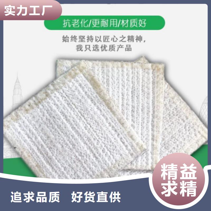 【防水毯】玻璃纤维土工格栅工厂直供专业信赖厂家