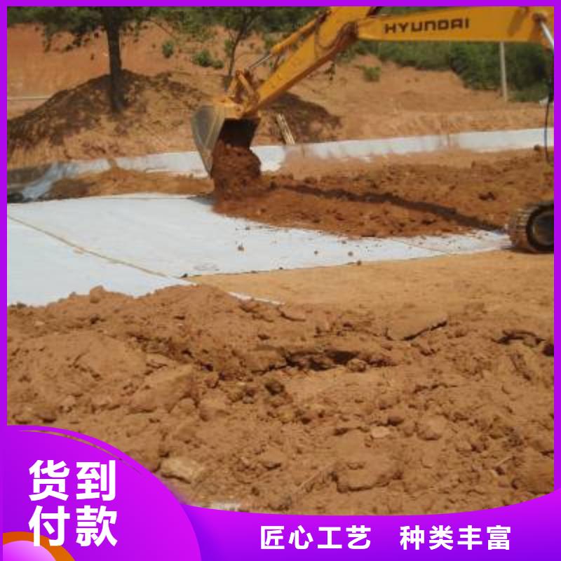 【防水毯涤纶土工格栅超产品在细节】本地公司
