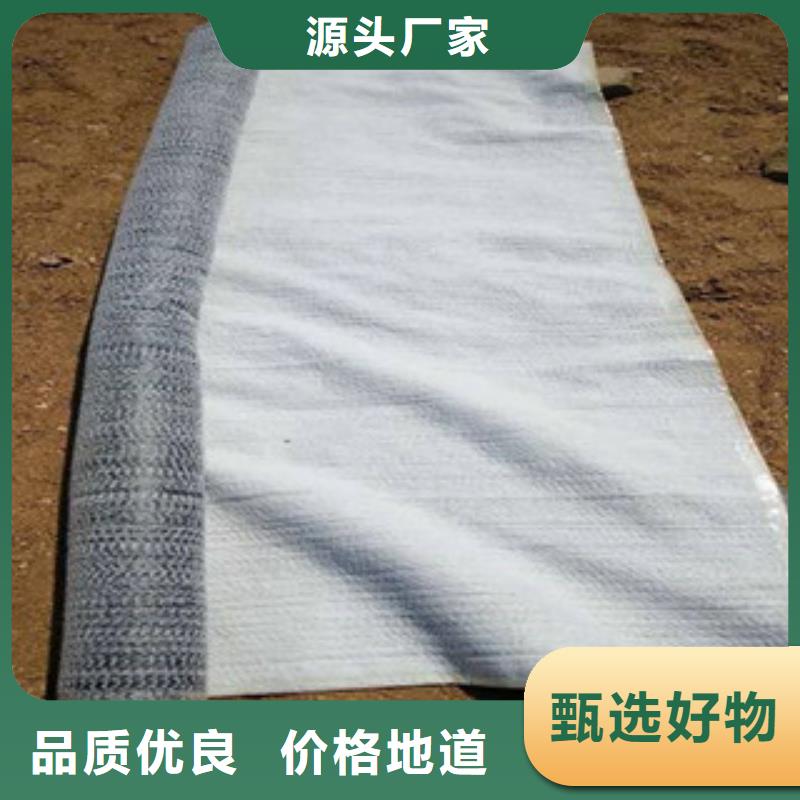 防水毯_土工格室匠心工艺同城公司