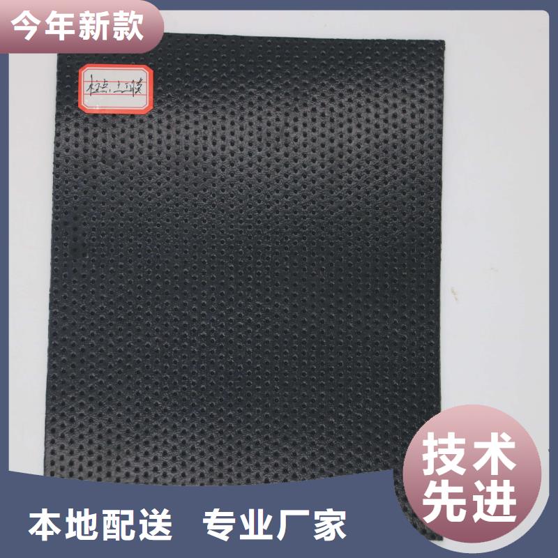 ​土工膜三维水土保护毯物美价优源头厂家量大价优