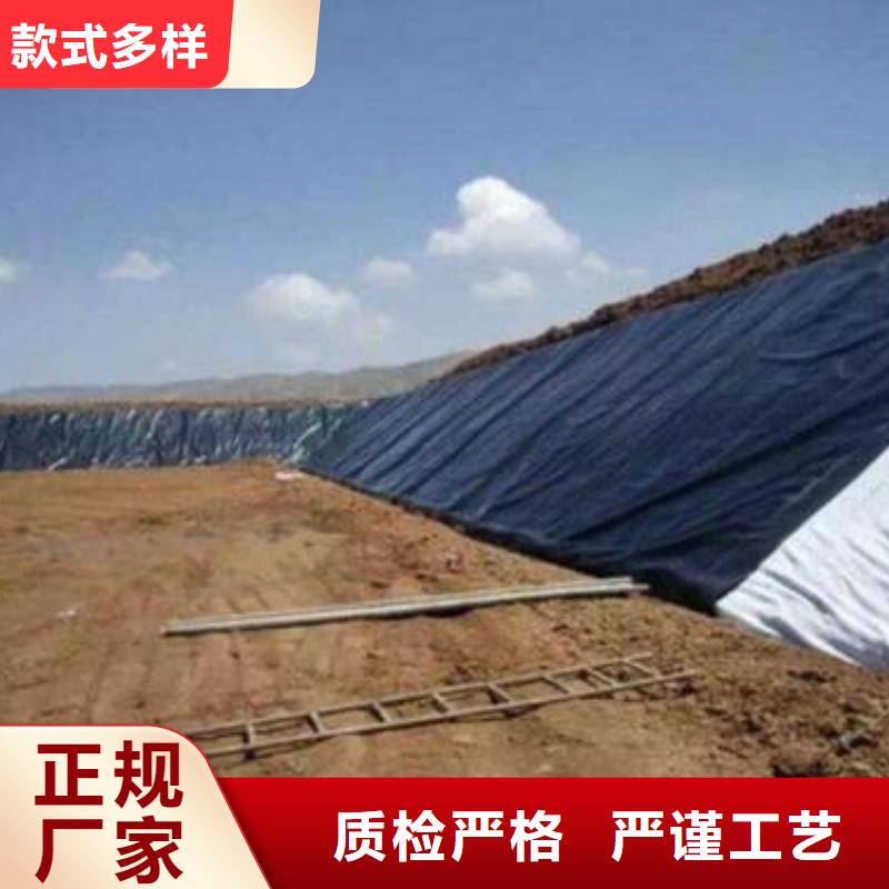 土工膜_土工席垫厂家直发本地生产厂家