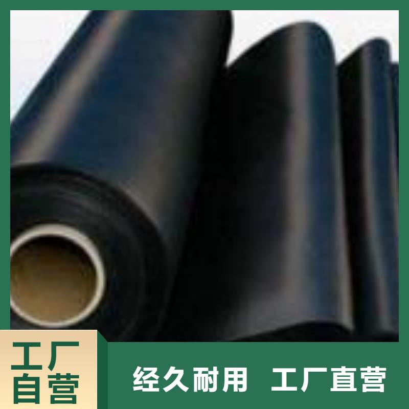 ​土工膜钢塑土工格栅支持定制批发量少也做