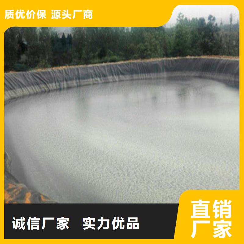 土工膜土工席垫定制批发当地生产厂家