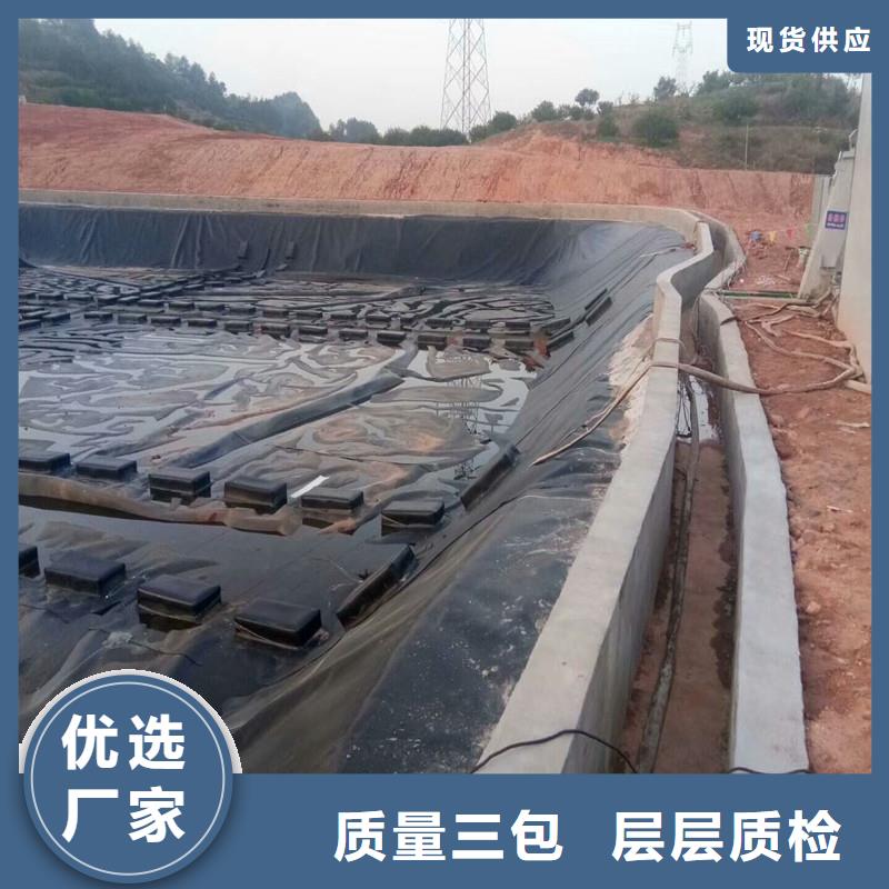 土工膜钢塑土工格栅厂家货源直供当地品牌