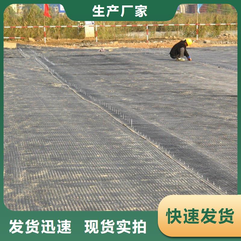 玻纤土工格栅_钢塑土工格栅_塑料土工格栅厂家直销当地公司