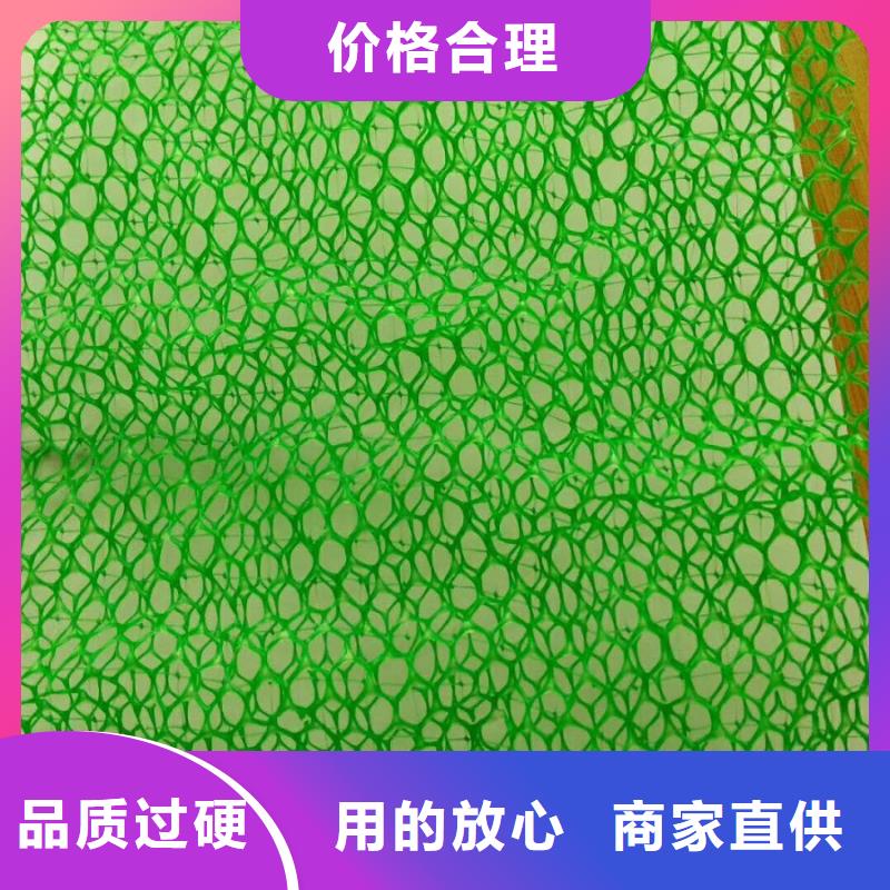 三维植被网土工席垫适用范围广同城货源