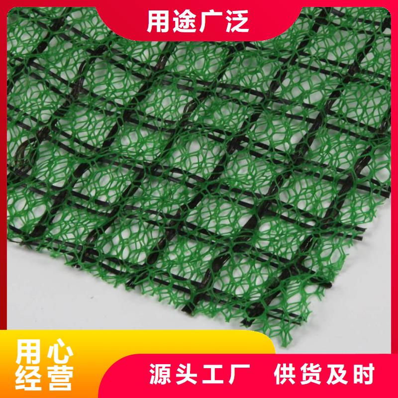 三维植被网施工图片-可定制生产快速发货
