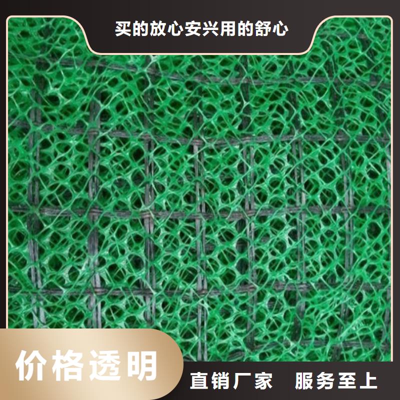 三维植被网土工布批发厂家型号齐全用心制作