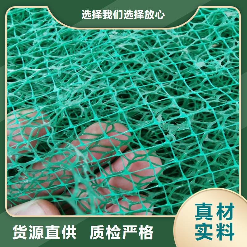 琼海市三维植被网有什么作用、价格是多少产地直供
