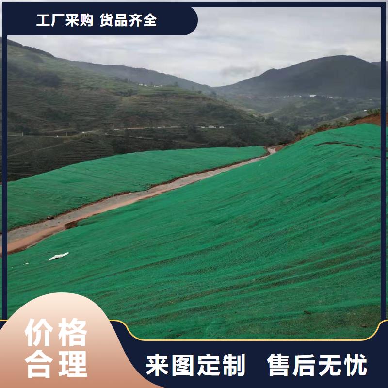 三维植被网三维植被网厂家物美价优品牌企业