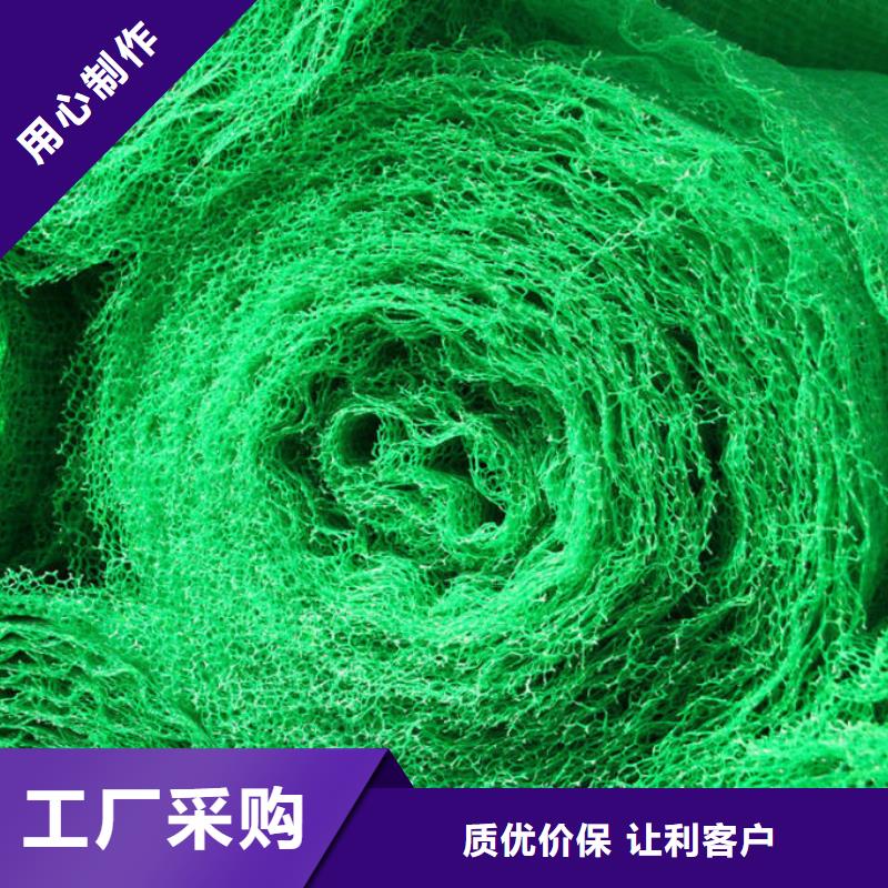 三维植被网土工布价格质检合格发货同城生产厂家
