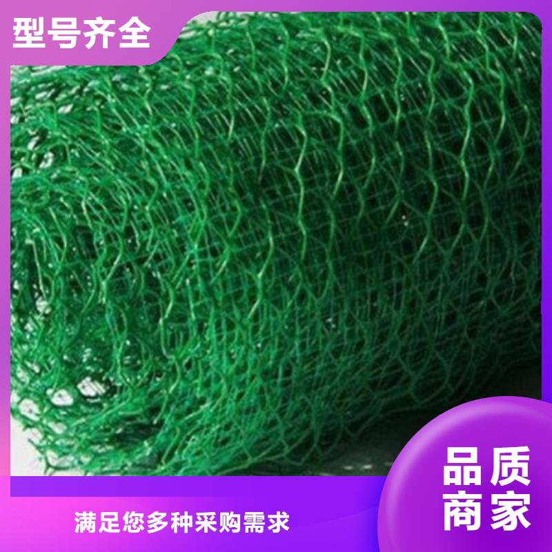 三维植被网软式透水管您想要的我们都有本地厂家