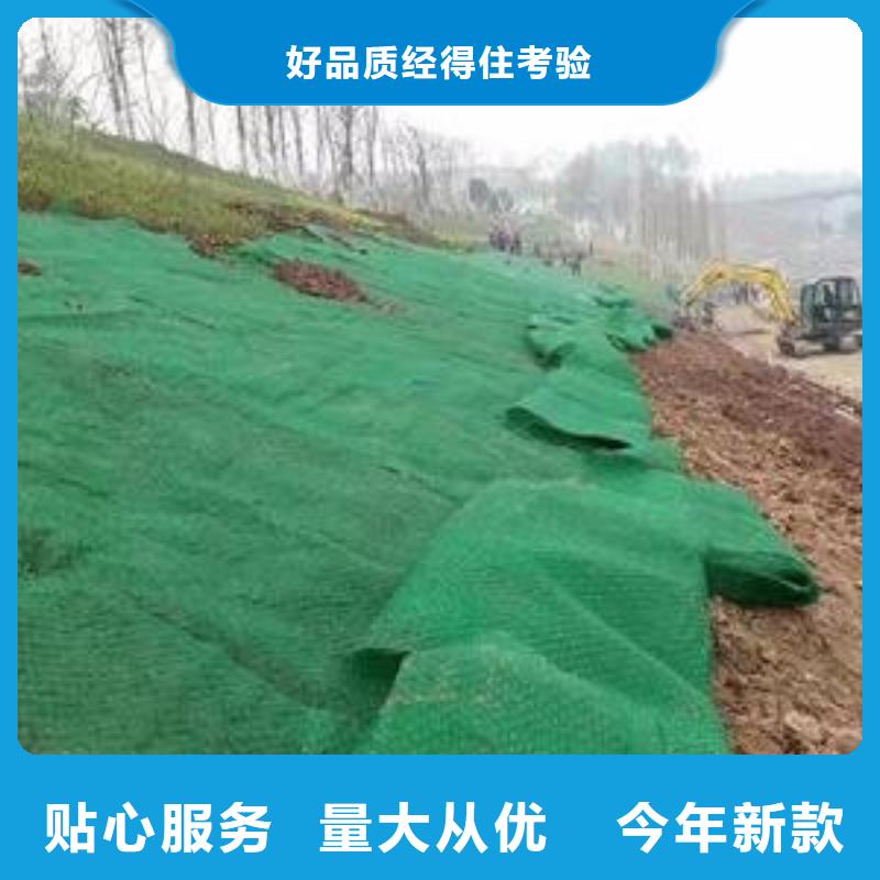 三维植被网_土工格室厂家新品优选好材铸造好品质