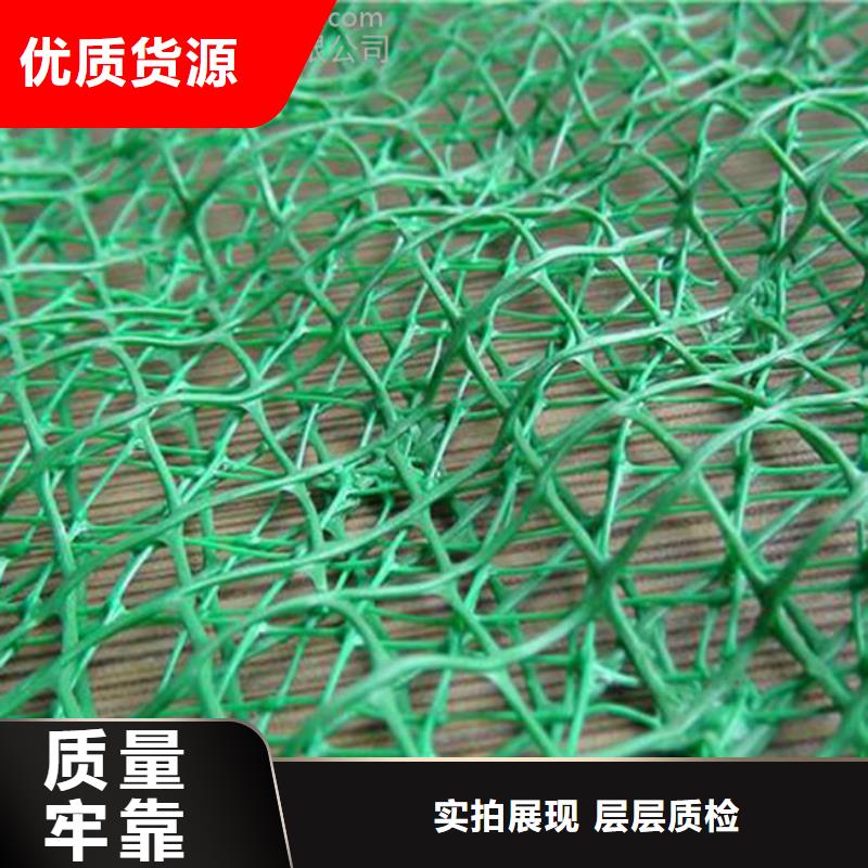三维植被网【土工布】原料层层筛选实时报价