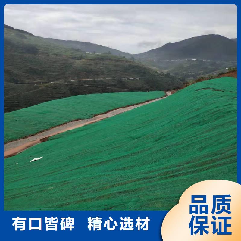 三维植被网膨润土防水毯库存丰富严选材质