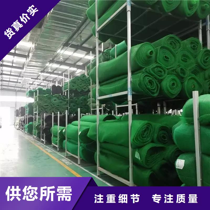 三维植被网土工布价格检验发货产地源头好货