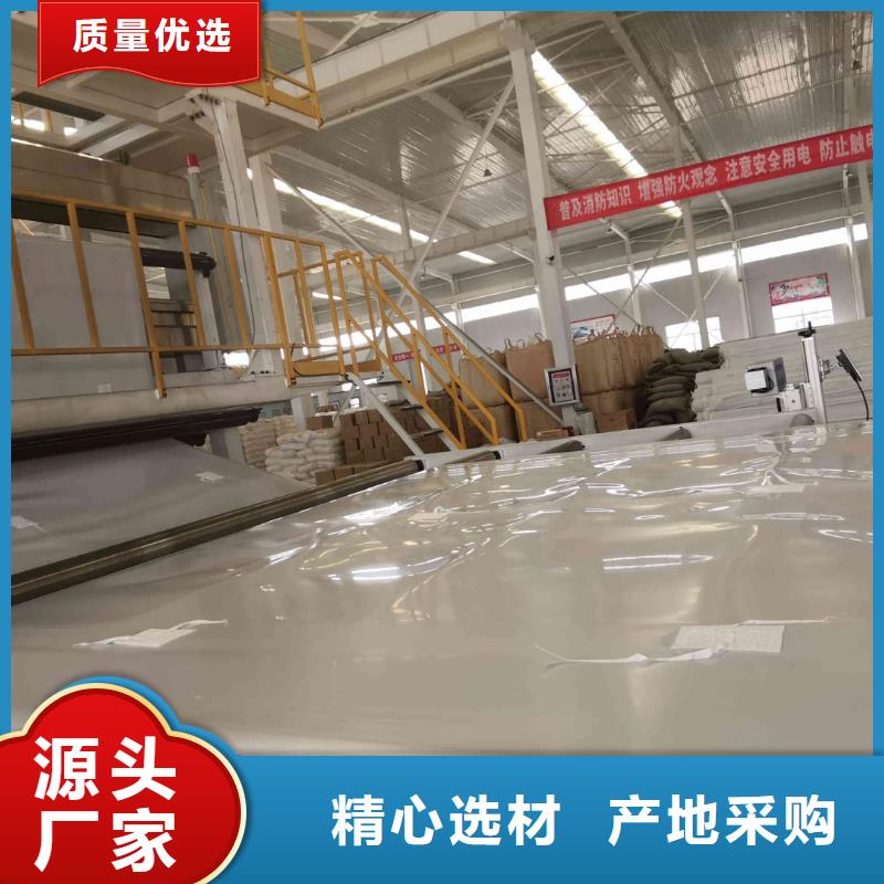 EVA防水板,钢塑土工格栅厂家货源充足当地供应商