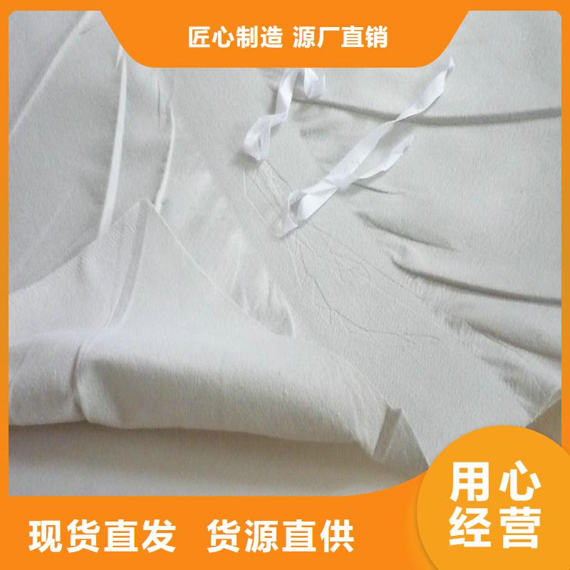 EVA防水板长丝无纺土工布现货批发定制定做