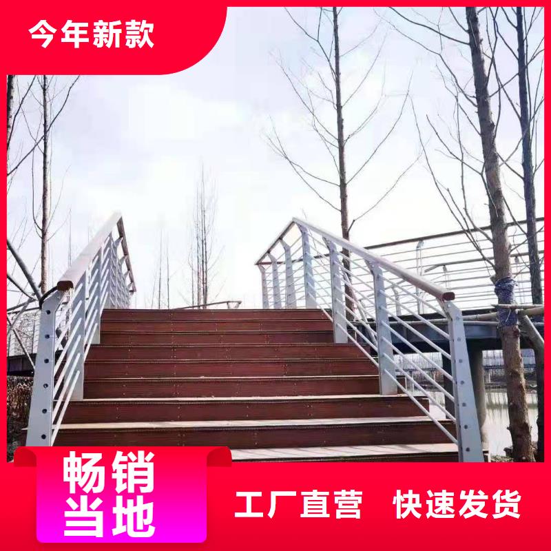 镀锌管喷塑护栏专业安装同城生产商