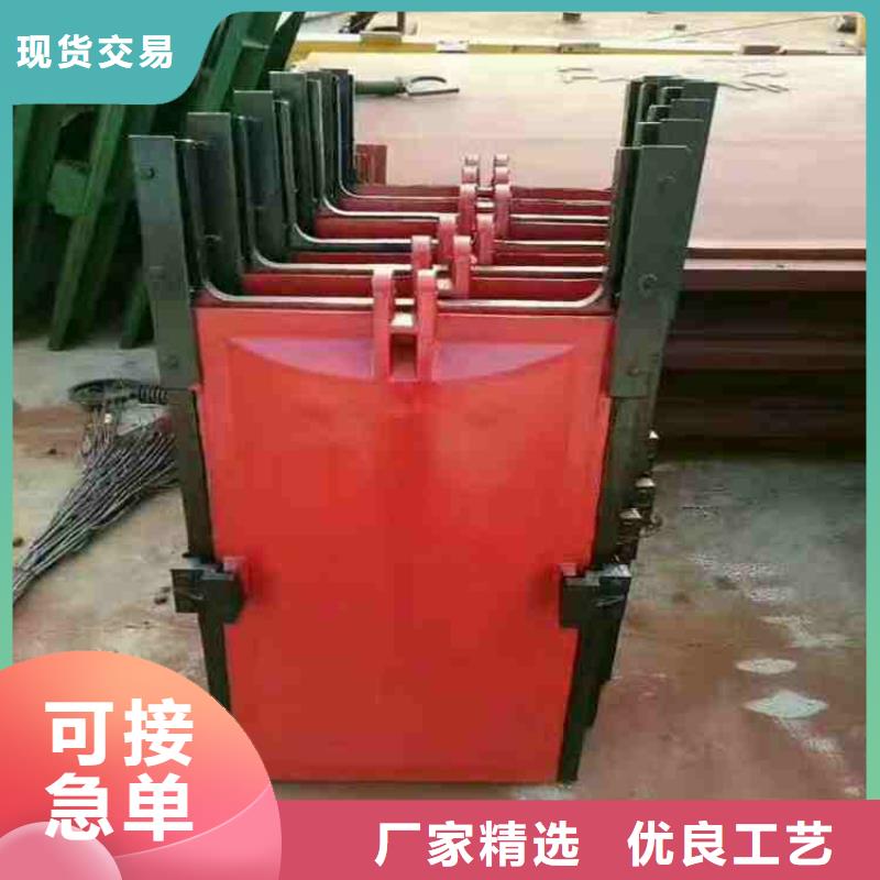 扇形闸门免费提供报价实拍展现