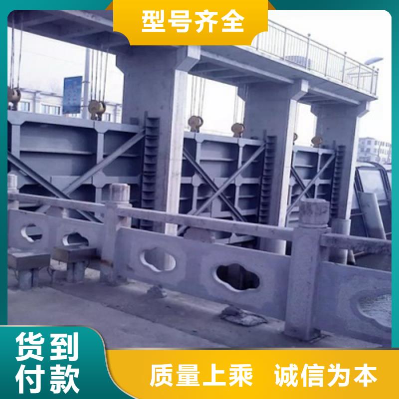 钢闸门启闭机闸门对质量负责厂家现货批发