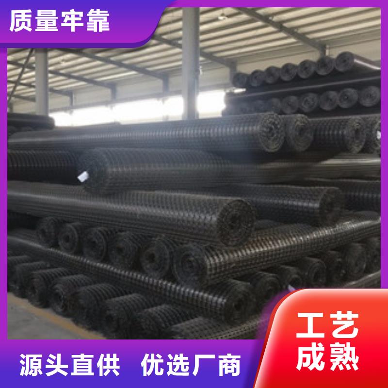 【双向塑料格栅三维植被网真诚合作】本地品牌