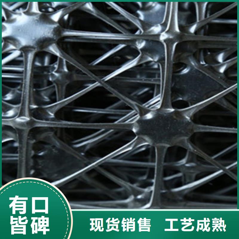【双向塑料格栅】_塑料土工格栅实力见证源厂直接供货