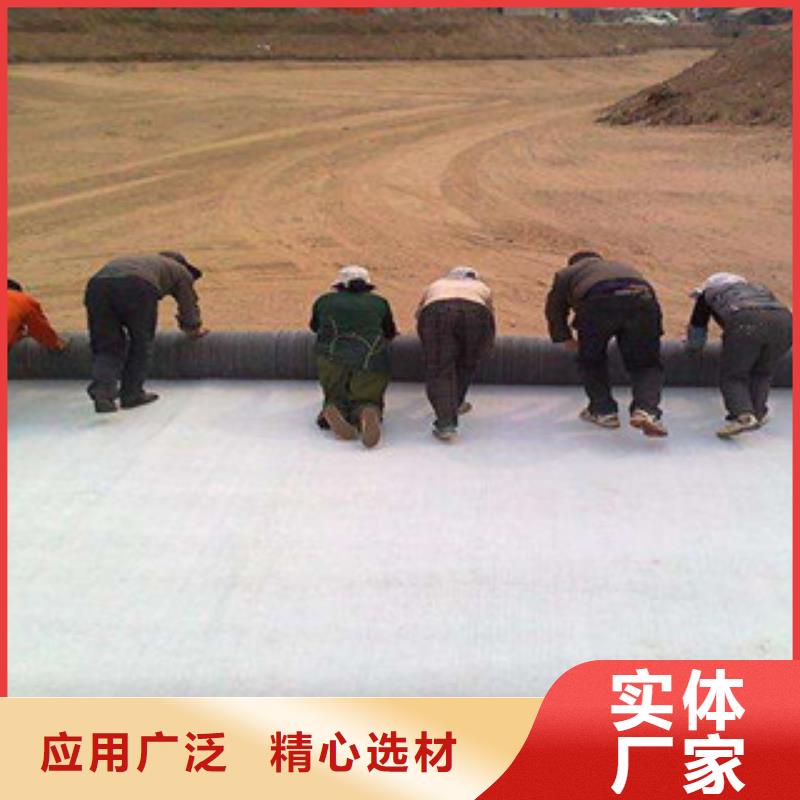 膨润土防水毯,三维植被网专注细节专注品质本地公司