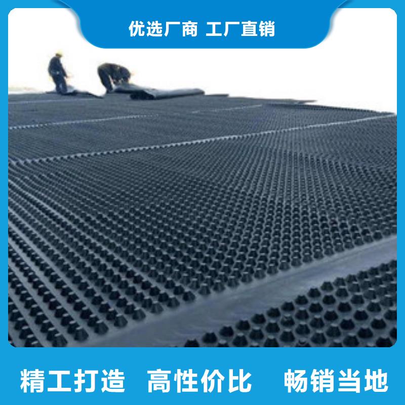 塑料排水板三维植被网工厂直供放心得选择