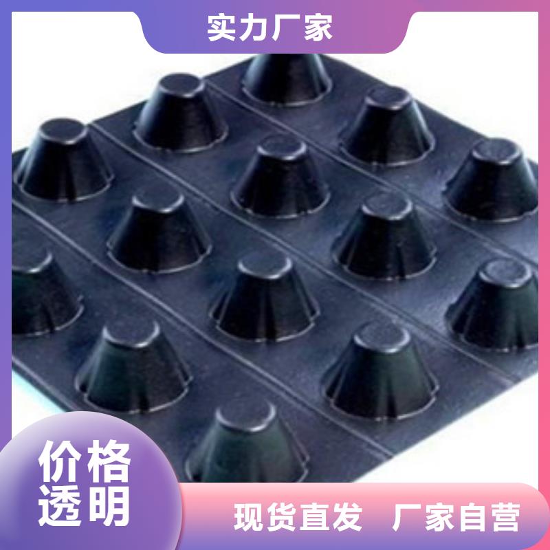 塑料排水板塑料土工格栅价格实惠工厂直供当地制造商