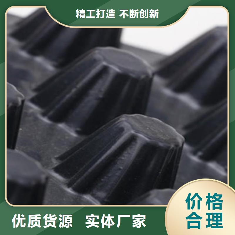 塑料排水板【高强度土工网】实力派厂家追求细节品质