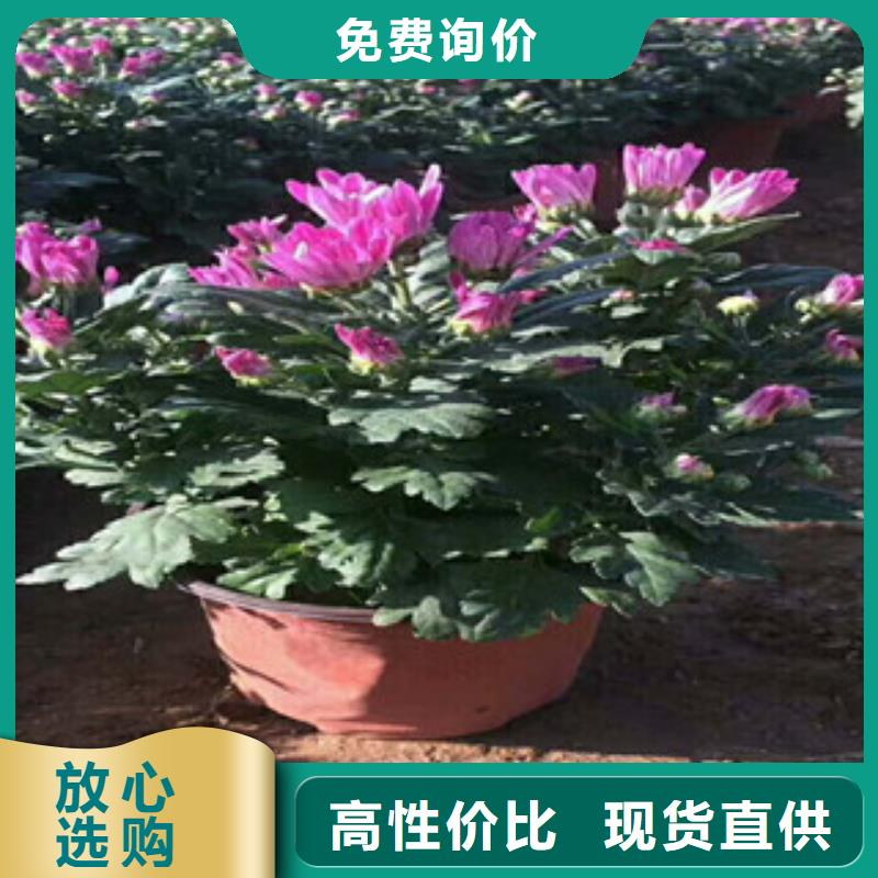 /FK20071401.html