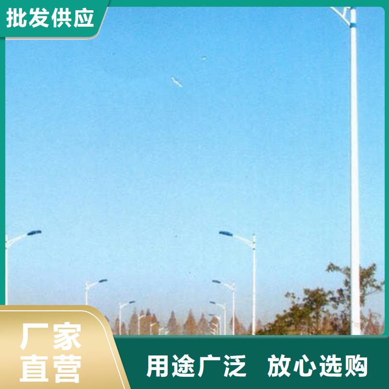 太阳能市电路灯厂家量大更优惠质量检测