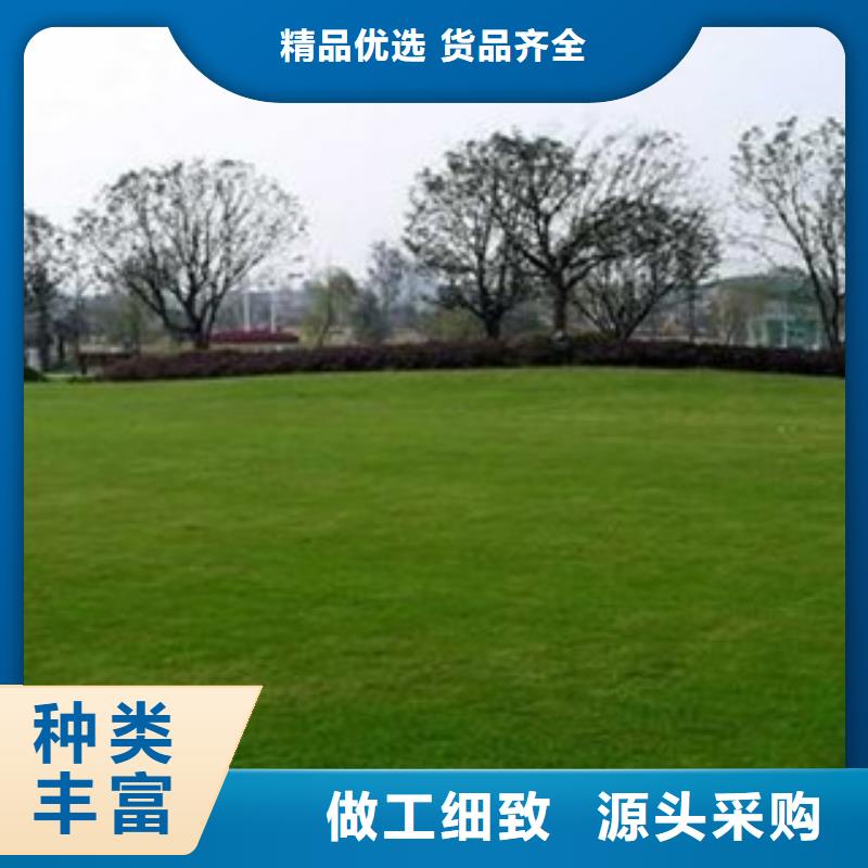 【人造草坪】塑胶地板源头厂家来图定制现货