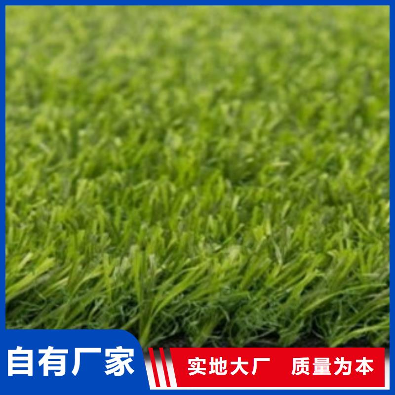 【人造草坪】硅pu球场工艺成熟厂家实力大