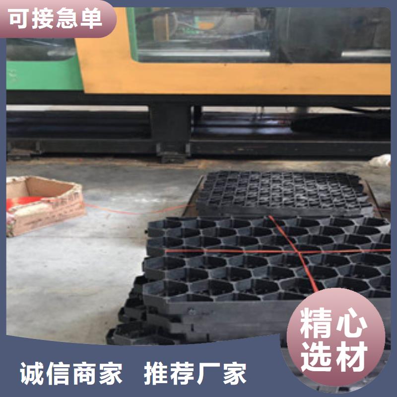 环保植草格排水板厂家今年新款本地品牌
