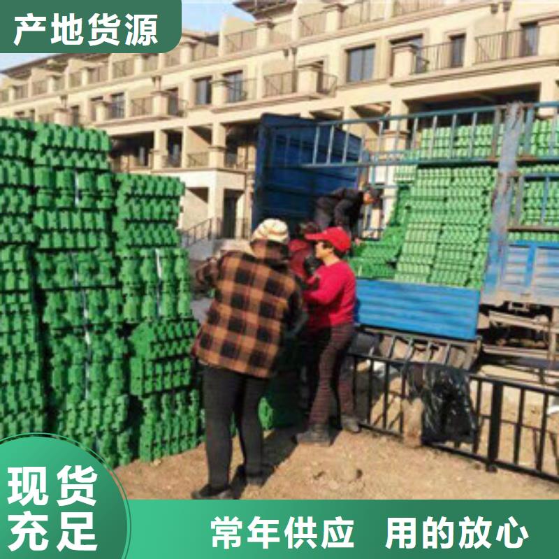 环保植草格土工膜厂家全新升级品质保障大厂家实力看得见
