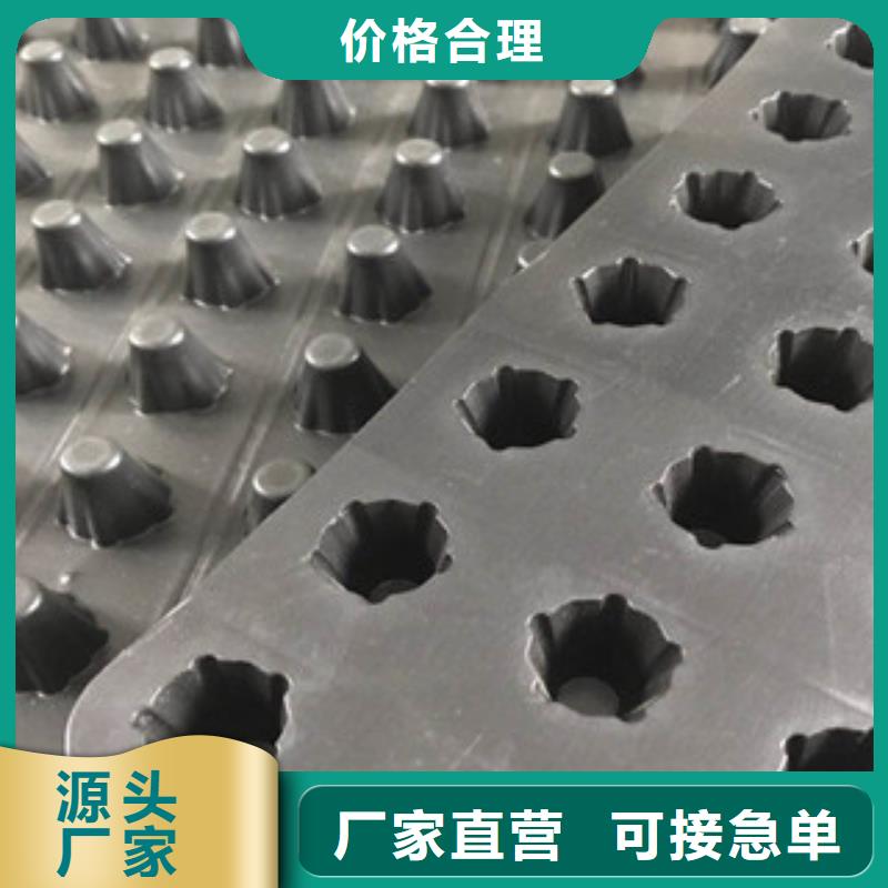 塑料排水板_【植草格厂家】种类多质量好自产自销