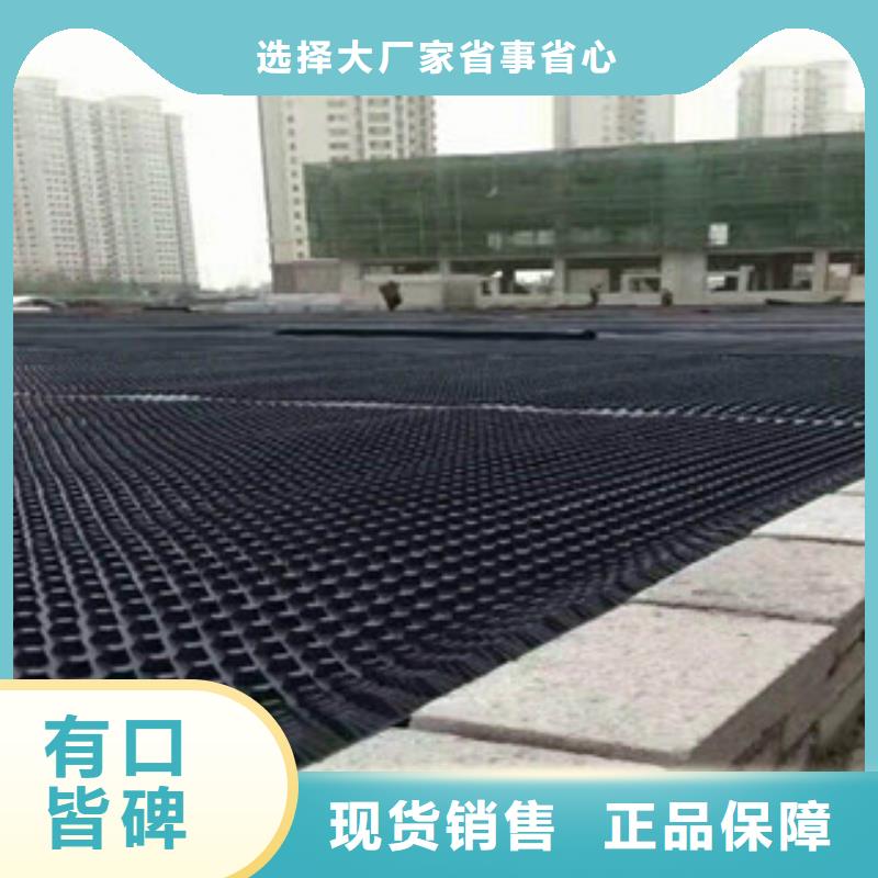 塑料排水板_排水板厂家就近发货品牌企业
