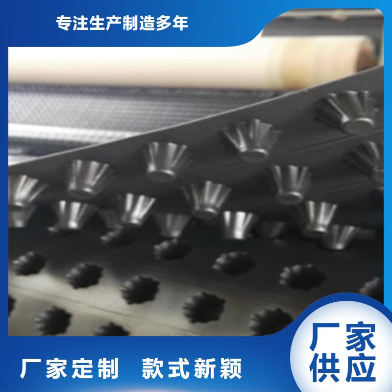 【塑料排水板土工布厂家实力派厂家】低价货源