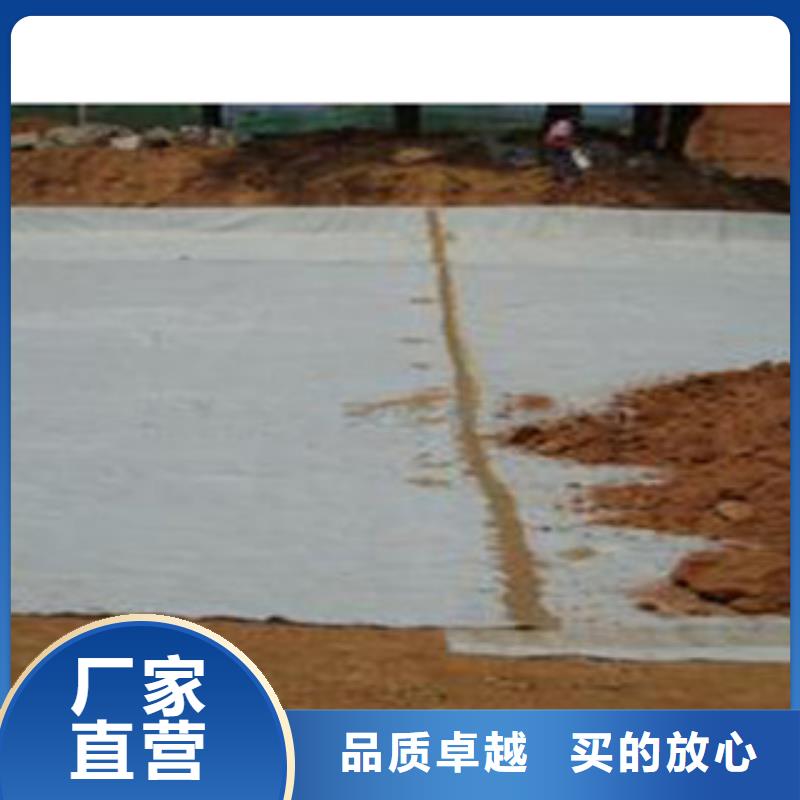 防水毯蓄排水板厂家厂家十分靠谱多行业适用