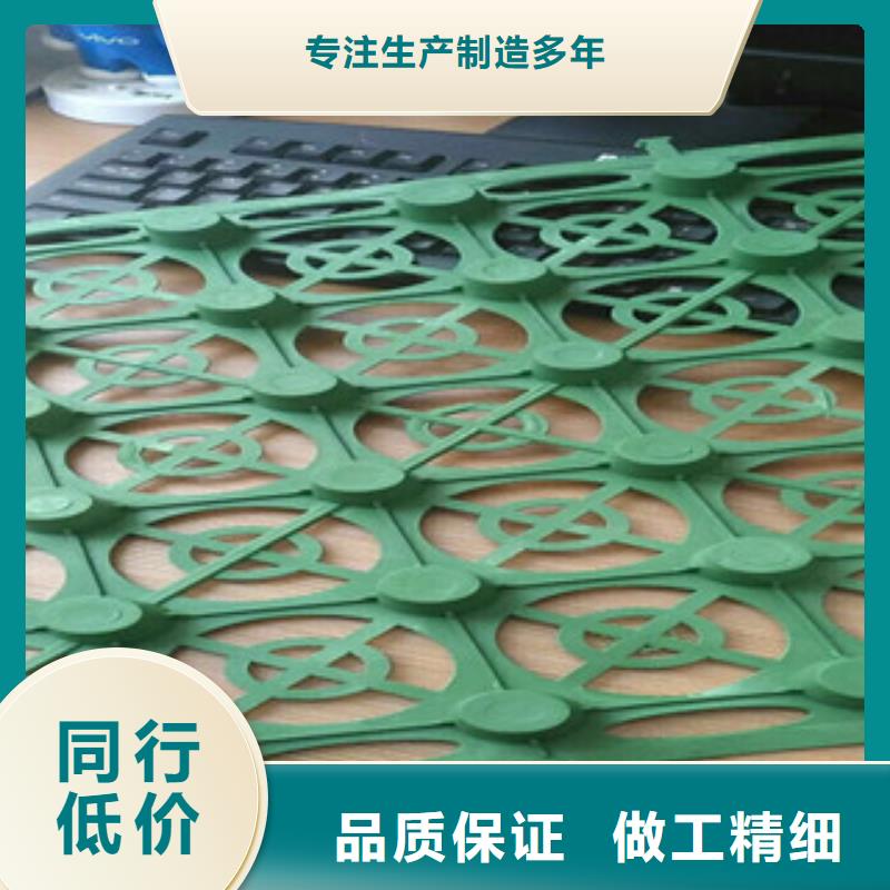蓄排水板土工膜厂家追求品质质优价保