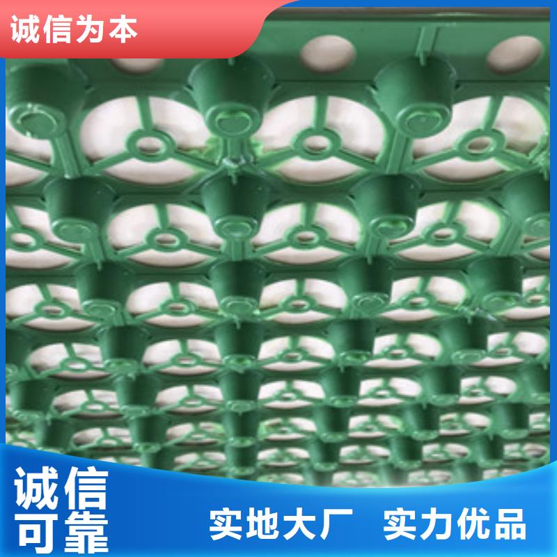 蓄排水板膨润土防水毯厂家生产型源头厂家