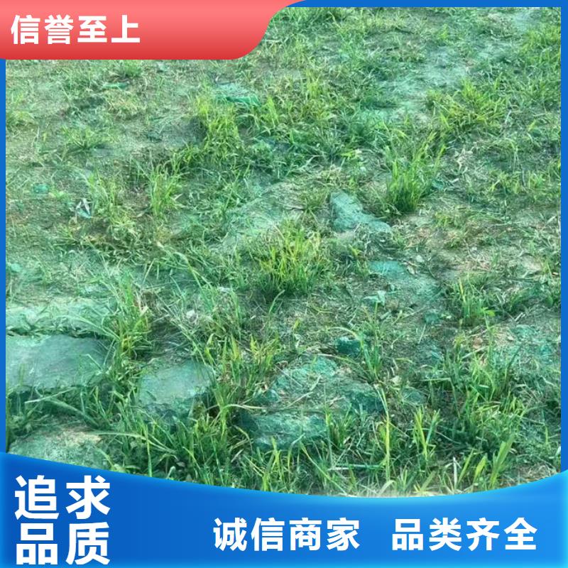 铁路煤炭运输抑尘剂源头厂家支持非标定制