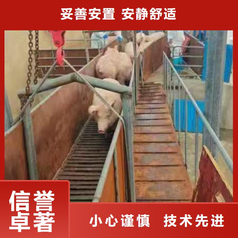 宿迁市沭阳到莱芜活禽运输技术先进