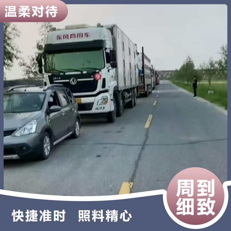 宿迁市沭阳到绍兴散装料专用车设备精良