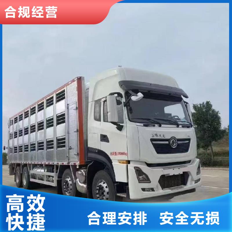 宿迁市沭阳到聊城种猪恒温车运输网络广泛